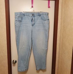 Women's Jean's 20w